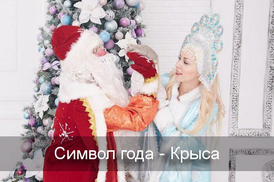 Символ года Крыса