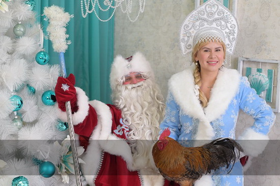 Ручной петушок