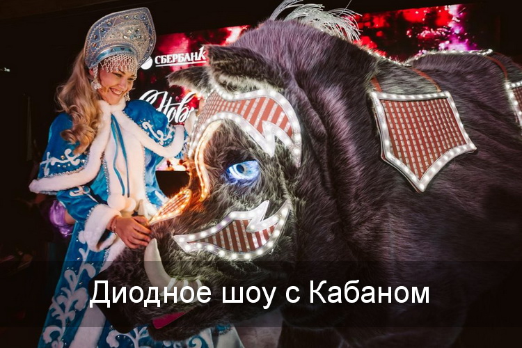 диодный кабан