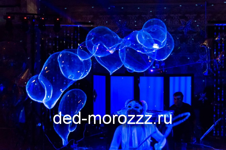 Новогоднее Шоу Мыльных пузырей с Дедом Морозом и Снегурочкой