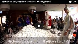 Бумажное шоу с Дедом Морозом и Снегурочкой