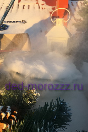 Дед Мороз и Снегурочка c сухим льдом