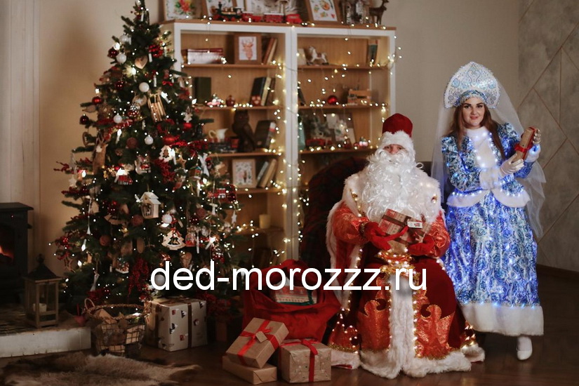 Дед Мороз и Снегурочка с диодным шоу