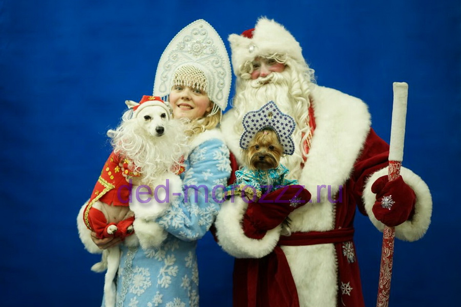 Дед Мороз и Снегурочка с Собачками