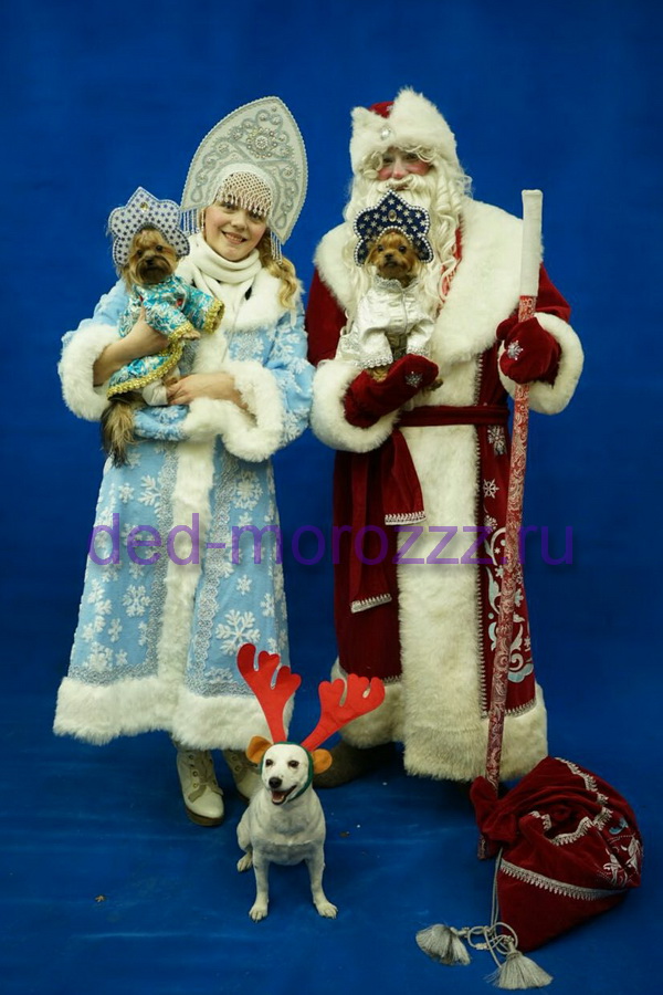 Дед Мороз и Снегурочка с Собачками