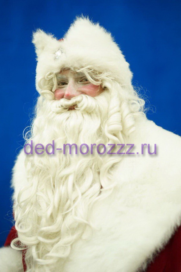 Дед Мороз и Снегурочка с Собачками