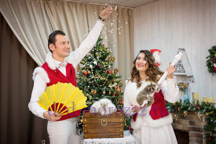 Иллюзионное шоу с животными