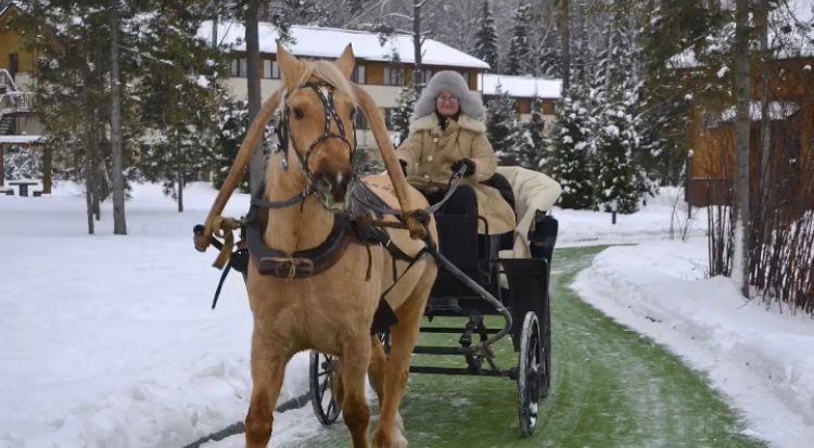 Катание на санях с Лошадьми