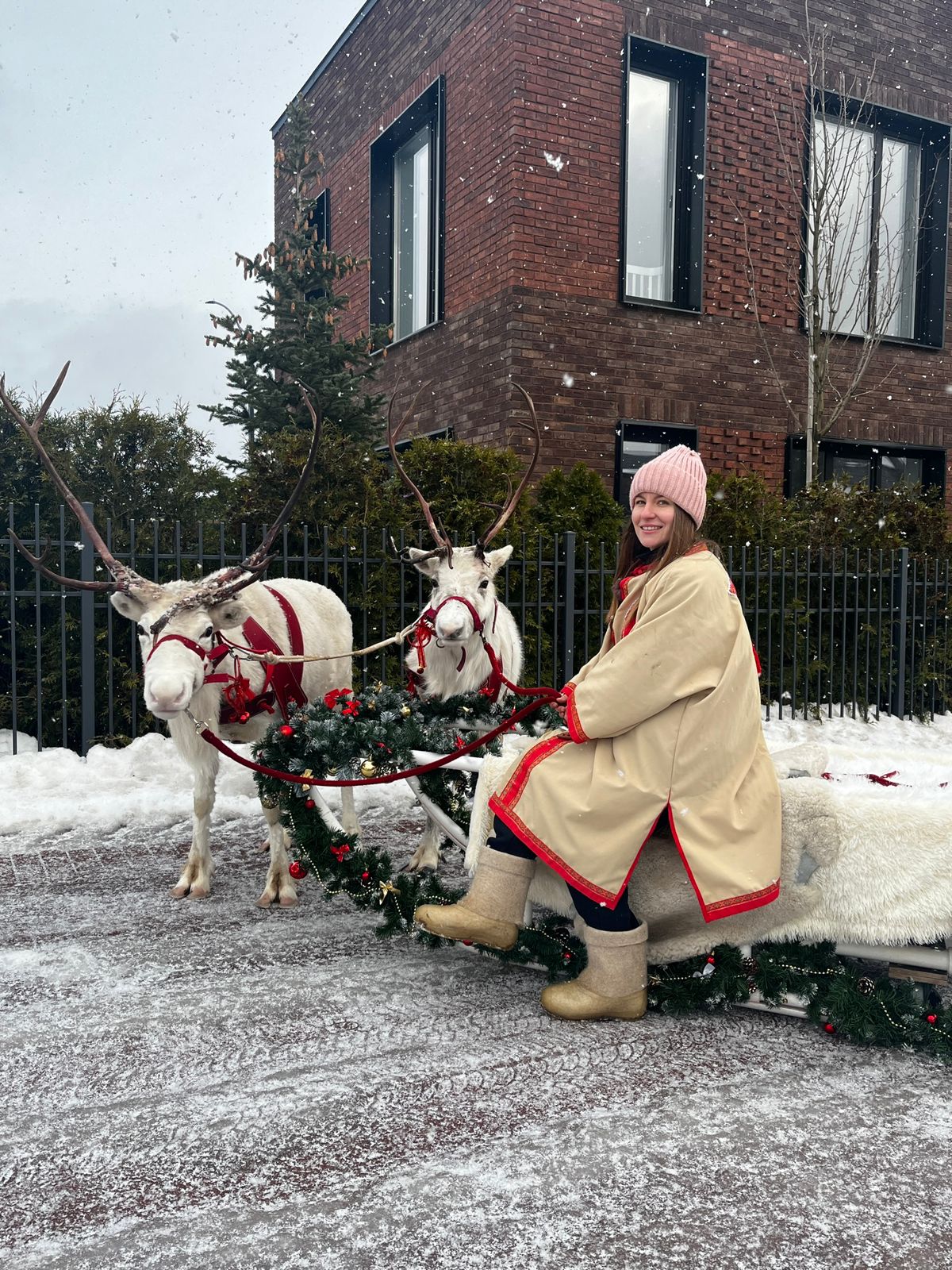 Катание на санях с Оленями