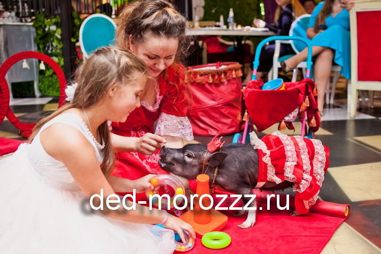 новогоднее пигги шоу