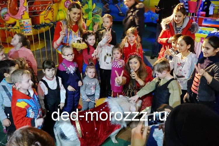 новогоднее пигги шоу