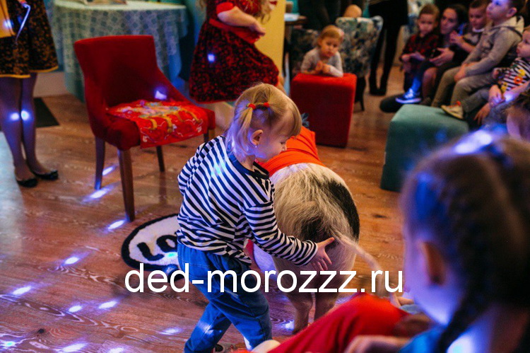 новогоднее пигги шоу