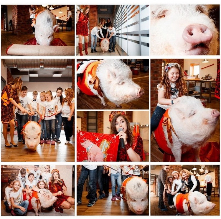 новогоднее пигги шоу