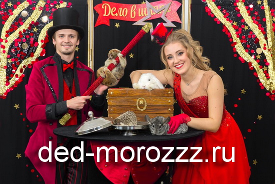 Иллюзионное шоу Дело в шляпе