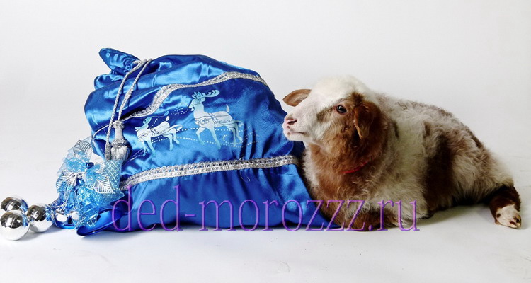 VIP Дед Мороз и Снегурочка Андрей и Настя с бараном