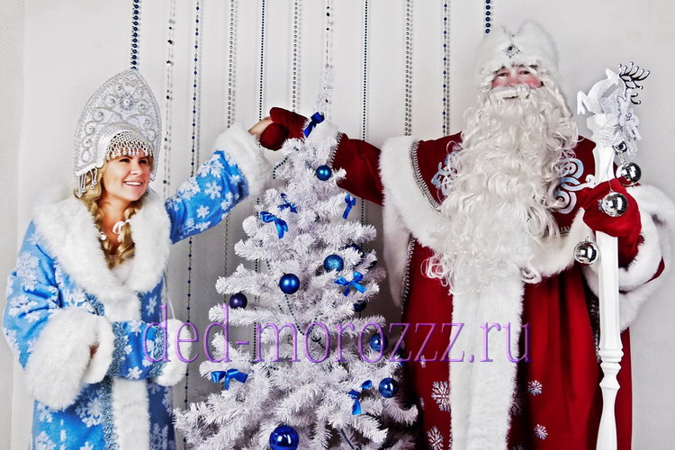 VIP Дед Мороз и Снегурочка Андрей и Настя