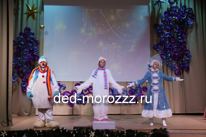 VIP Дед Мороз и Снегурочка: Иван и Вероника