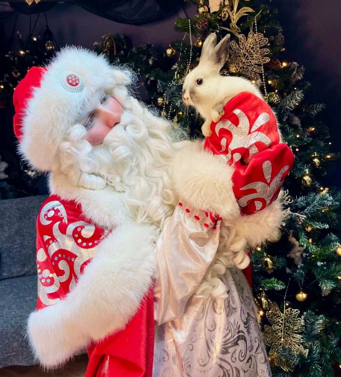 VIP Дед Мороз и Снегурочка: Анастасия и Игорь с трюками