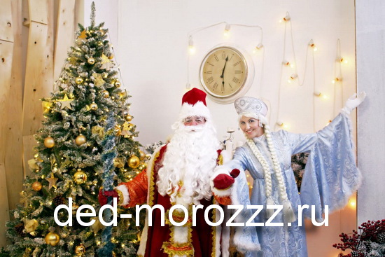 VIP Дед Мороз и Снегурочка: Михаил и Екатерина