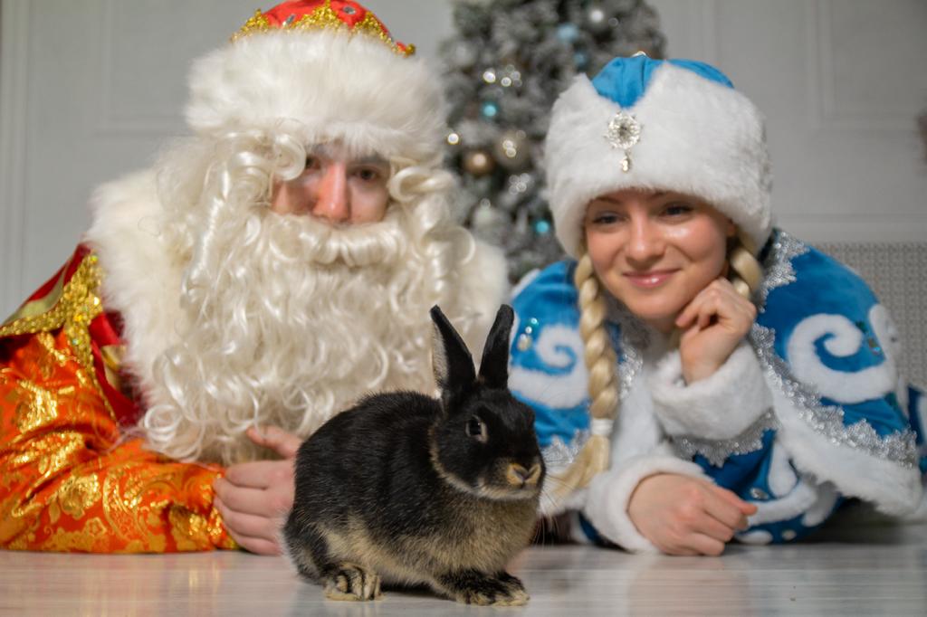 VIP Дед Мороз и Снегурочка: Михаил и Екатерина